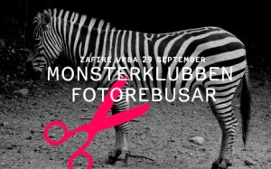 Fotorebusar-zebra